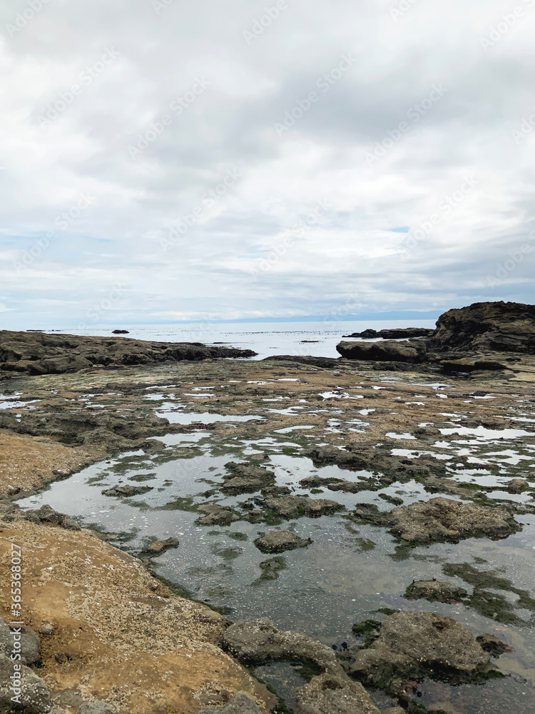 Ocean Beach Rock Low Tide Coastline