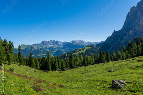 Incredible nature landscape in Dolomites Alps. Spring blooming meadow. Flowers in the mountains. Spring fresh flowers. View of the mountains. Panorama of Dolomites, Italy. Daisy flowers.