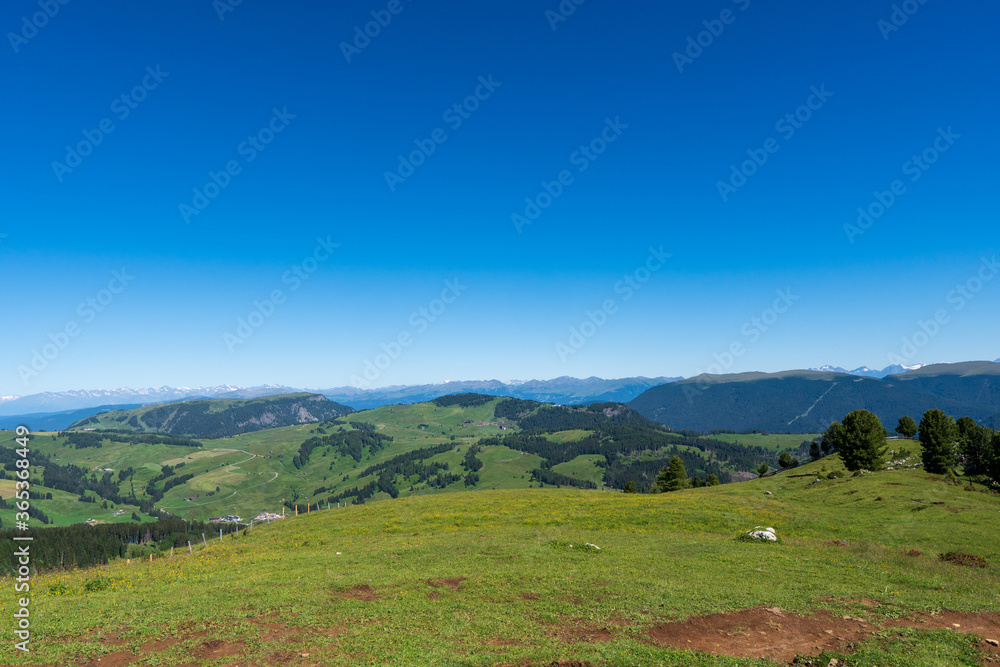 Seiser Alm Sudtirol large panorama during summer season