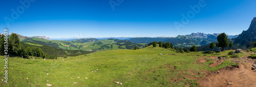 Seiser Alm Sudtirol large panorama during summer season