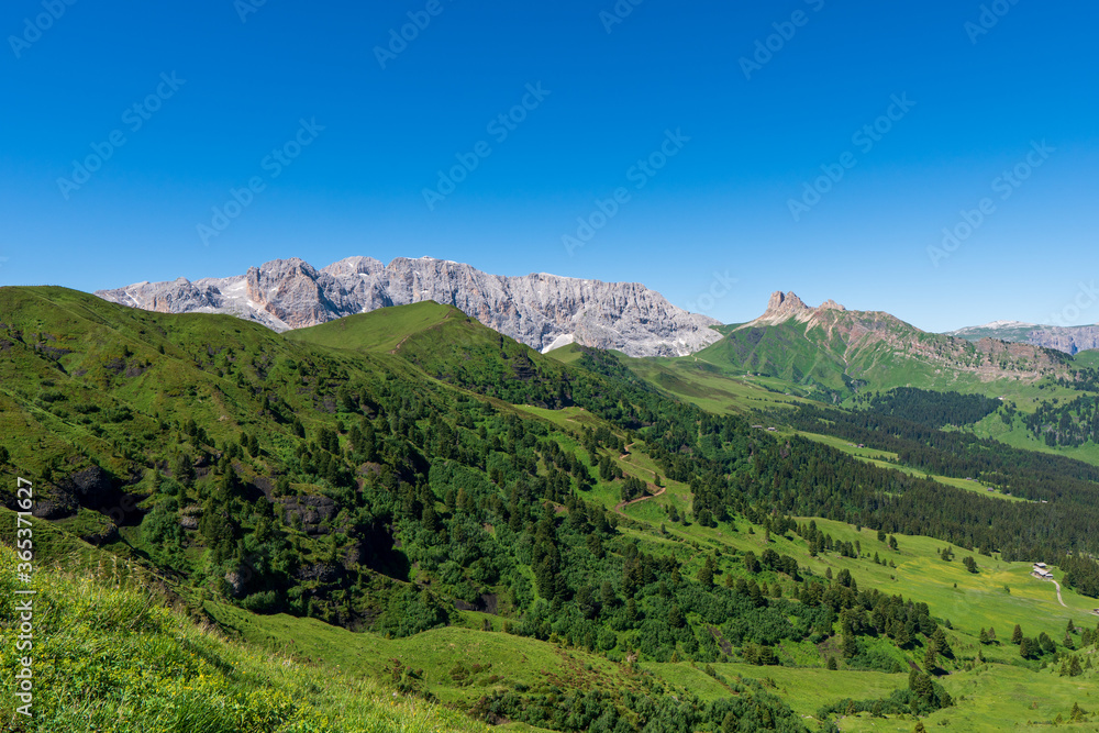 mountain meadow landscape panorama Seiser Alm , dolomiti italy