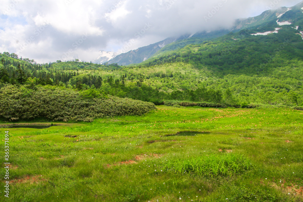 Naklejka premium 栂池自然園