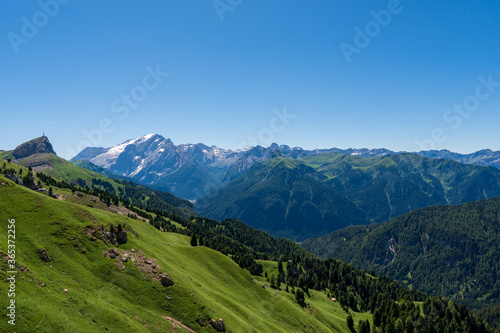 Incredible nature landscape in Dolomites Alps. Spring blooming meadow. Flowers in the mountains. Spring fresh flowers. View of the mountains. Panorama of Dolomites  Italy. Daisy flowers.