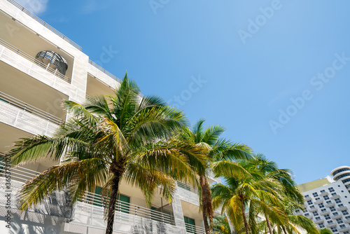 Deco architecture and palm trees Miami Beach FL © Felix Mizioznikov