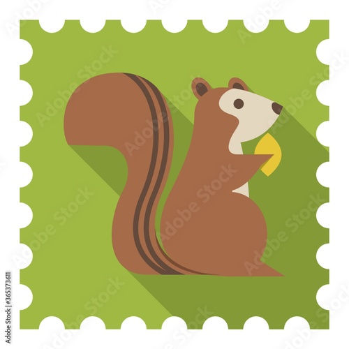 squirrel
