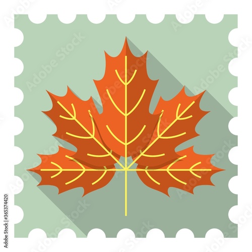 autumn leaf