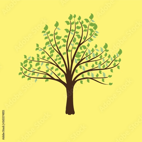 tree