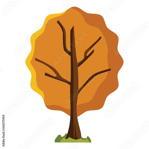autumn tree