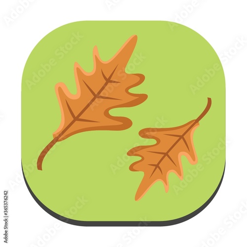 autumn leaves