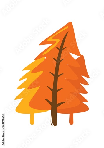 pine tree