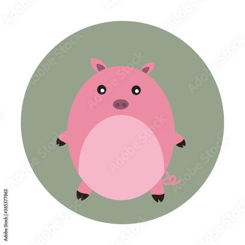 pig