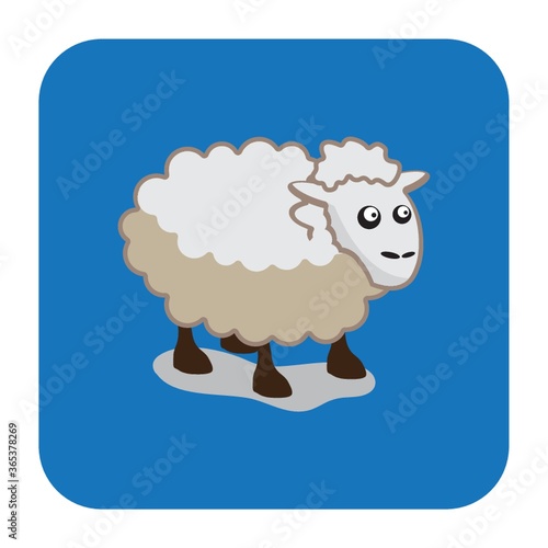 sheep