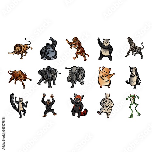 animals collection
