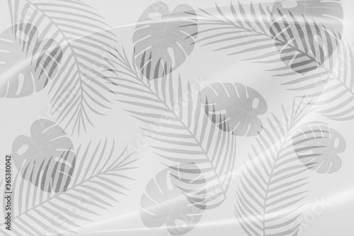 The leaf pattern on the  brick wall can be used as a background.