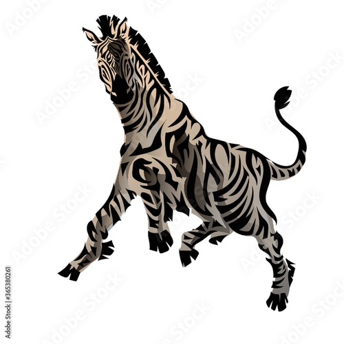 zebra