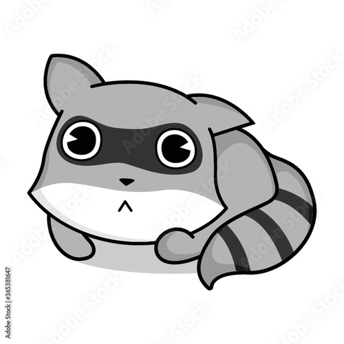 raccoon laying