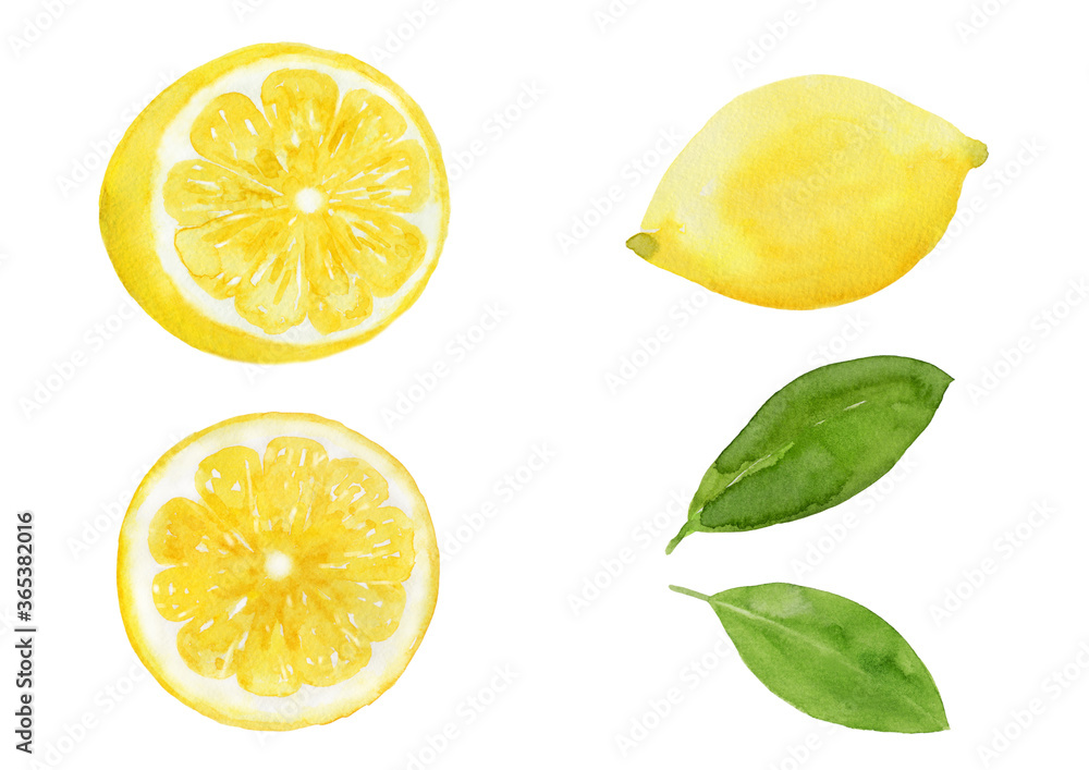まるごとレモンと半分のレモン 断面 葉っぱのセット 水彩イラスト Stock Illustration Adobe Stock