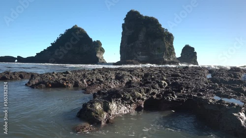 Star Fish amongst the rocks and seastacks at Motukiekie Beach on the West Coast of New Zealand's South Island