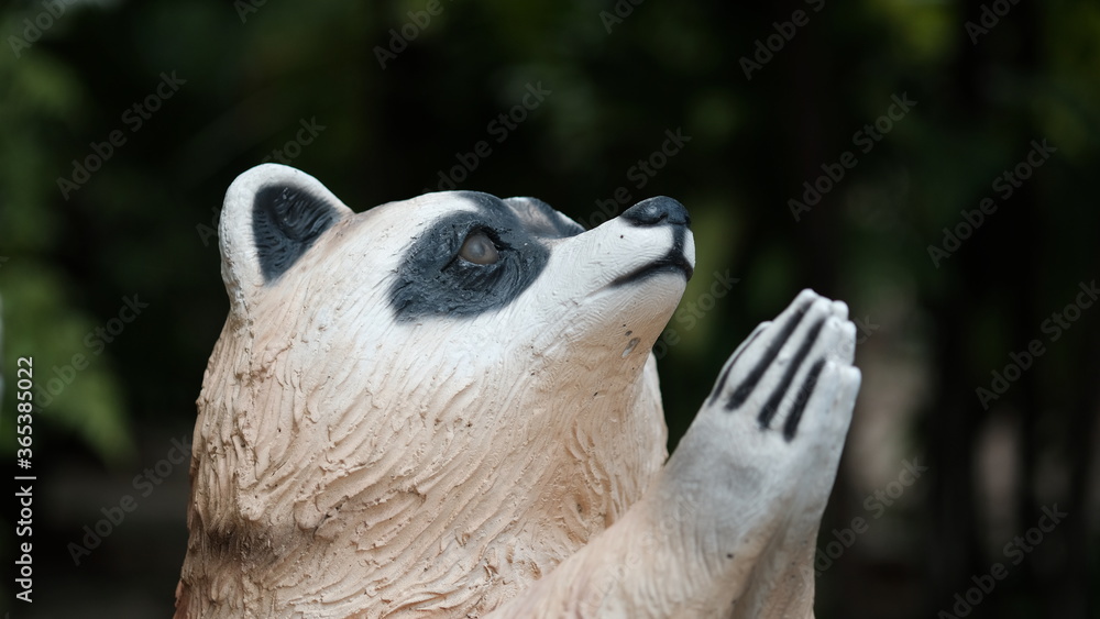 Fototapeta premium portrait of a polar bear