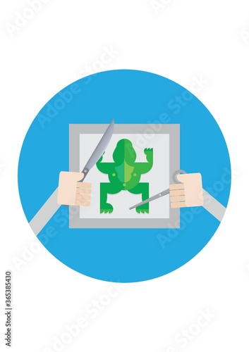 Fényképezés hand dissecting frog with scalpel