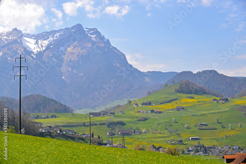 View of the Switzerland mountain and green grass of spring