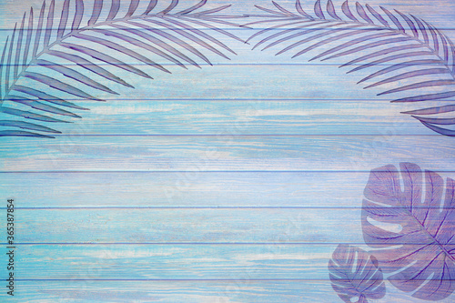 The leaf pattern on the  brick wall can be used as a background.