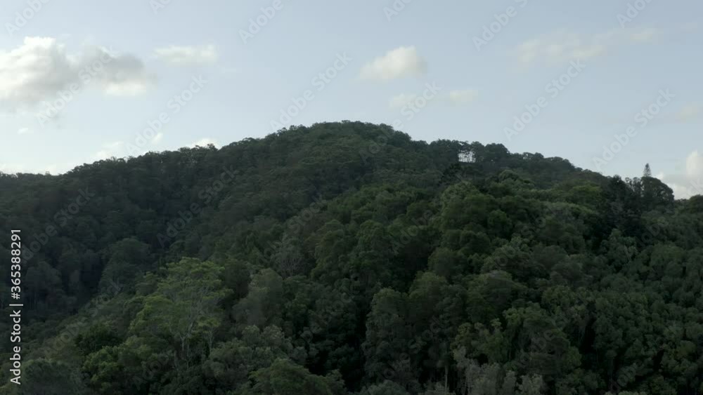 flying through the australian jungle flying through the australian jungle