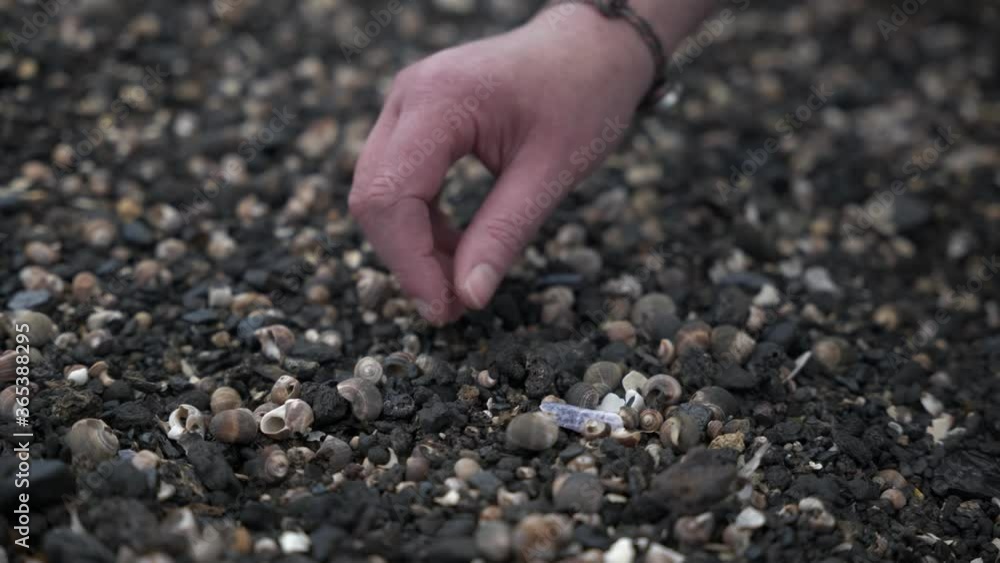 Hand sifts through sea shells Hand sifts through sea shells