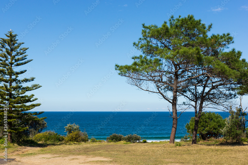 View of a Peaceful Blue Ocean from Across Grassed Land
