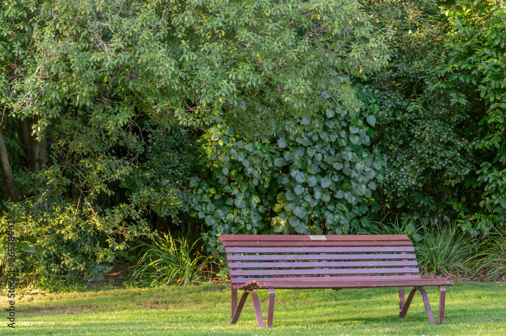 Park Bench on Grassed Area In-front of Bush During Sunset Park Bench on Grassed Area In-front of Bush During Sunset