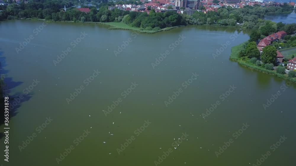 Many birds over a pond in Stralsund. In the background European churches. Many birds over a pond in Stralsund. In the background European churches.