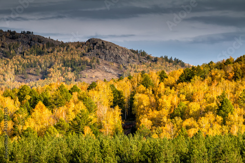Golden colors of an autumn forest in the mountains on a cloudy day