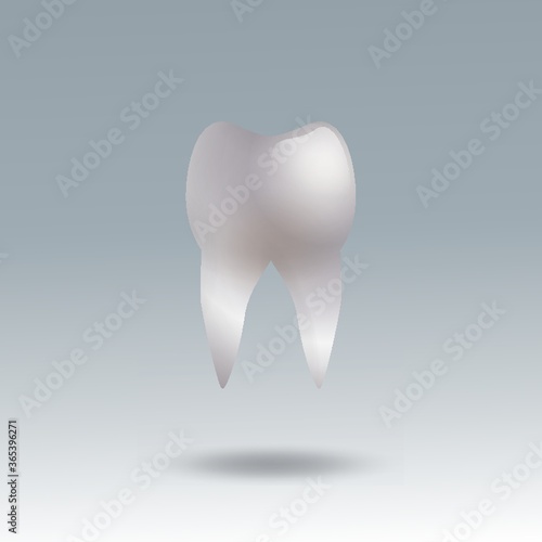 molar tooth