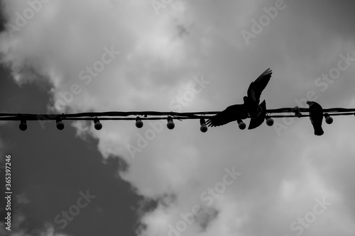 barbed wire against a blue sky