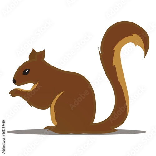 squirrel