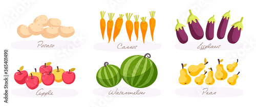 Set of fresh vegetables and fruits. Harvest. Potato. Watermelon. Carrot. Pears. Apples. Eggplants. Vector illustration of food on a white background.
