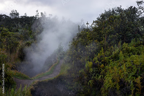 Steam vents trail in the early morning in Hawaii Volcanoes National Park on the Big Island.