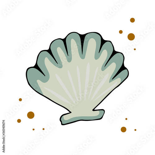Vector illustration of a seashell, hand drawn in doodle style. Design for printing cards, poster, textiles, wrapping paper