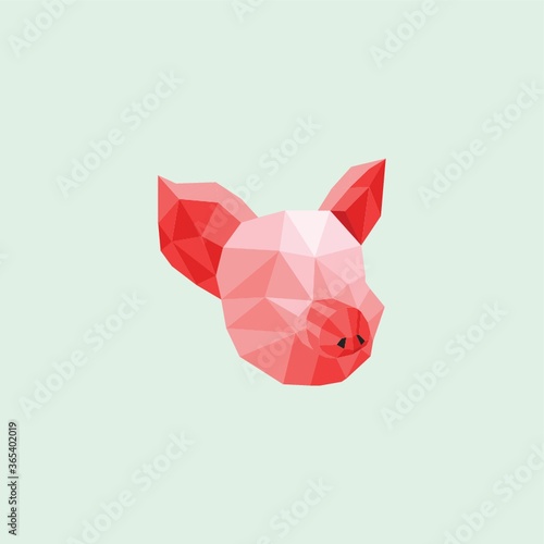 pig