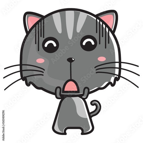 cat shocked