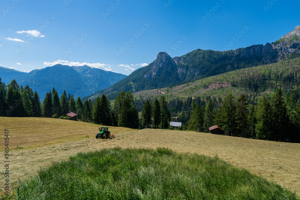 Tractor Turning Hay in the field