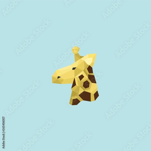 Photography giraffe