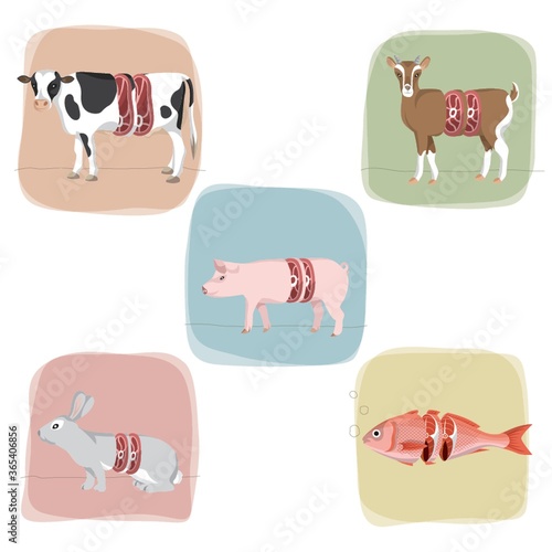 concept of fresh meat cut