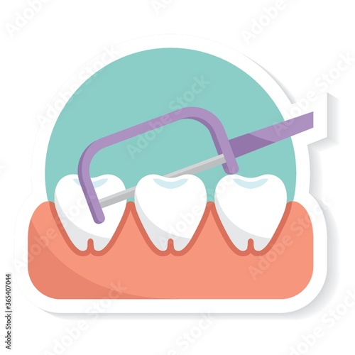 dental floss with toothpick