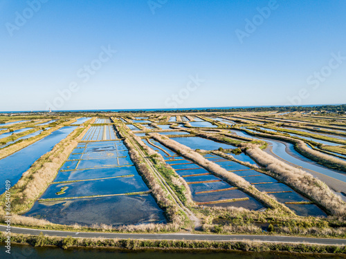 Photo aérienne drone marais salants ile de ré france 