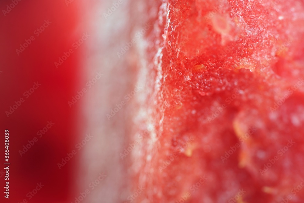 fresh watermelon macro fresh watermelon macro