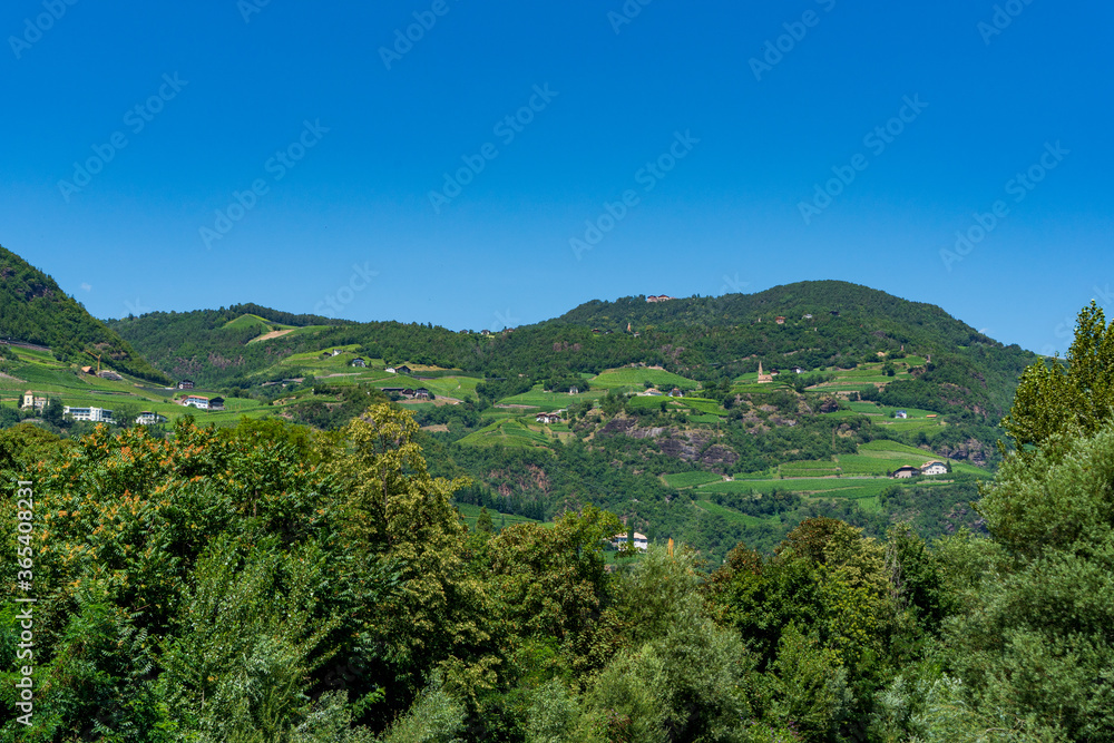 Orchards and vineyards on the hills Bologna Province, Emilia Romagna, Italy.