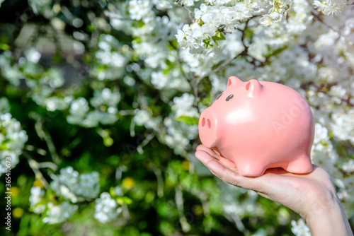 Girl holding piggy Bank against the background of blossoming cherry 