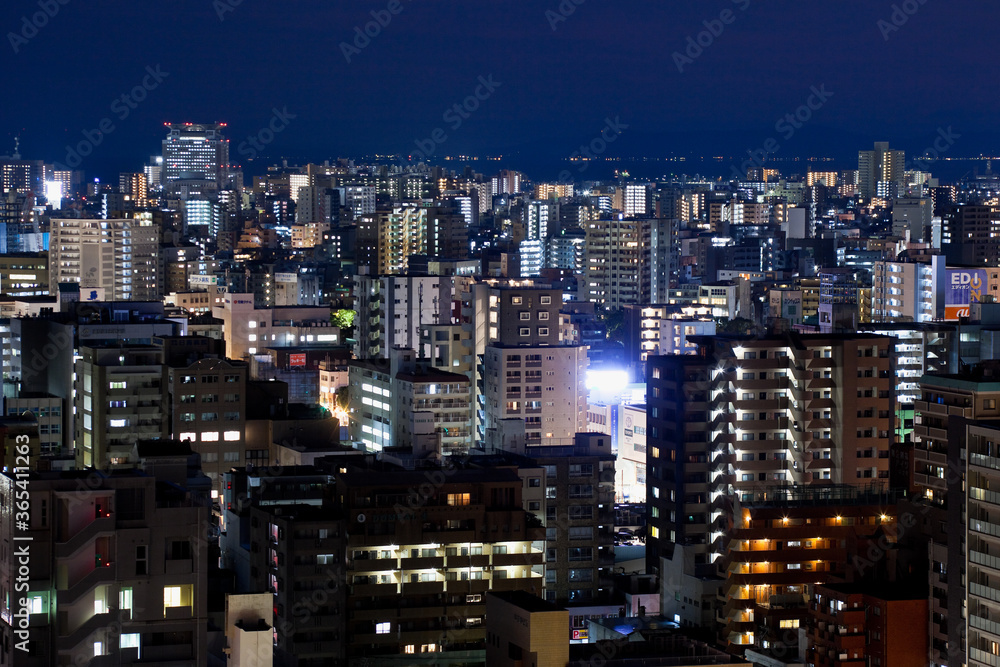 城山より見る鹿児島市街地の夜景と桜島	