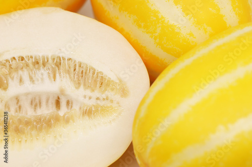 korean melon isolated in white background